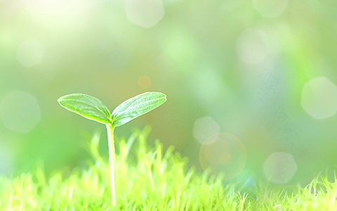 ここに文章が入りますここに文章が入ります