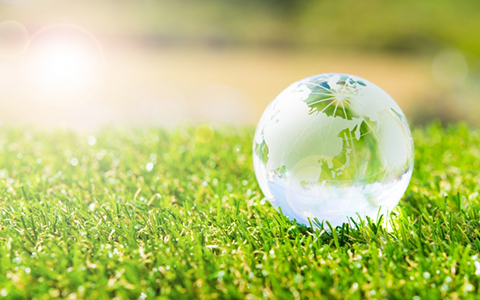 ここに文章が入りますここに文章が入ります