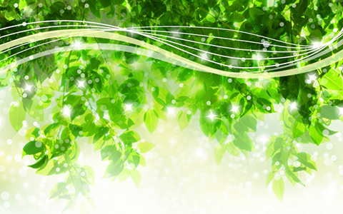 ここに文章が入りますここに文章が入ります