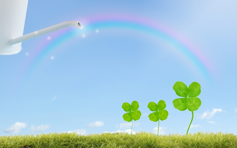 ここに文章が入りますここに文章が入ります